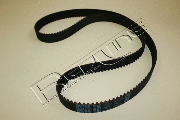 Timing Belt (29CH003)