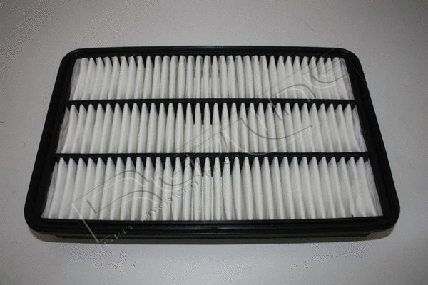 Air Filter (36IZ006)