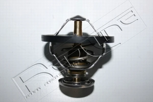 Thermostat, coolant (55HO005)