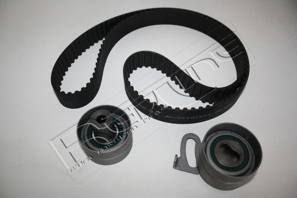 Timing Belt Kit (30NI007)