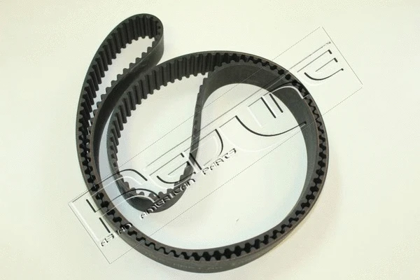 Timing Belt (29MI014)
