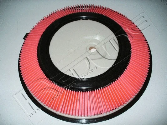 Air Filter (36NI002)