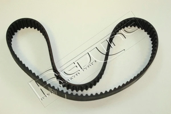 Timing Belt (29SZ008)