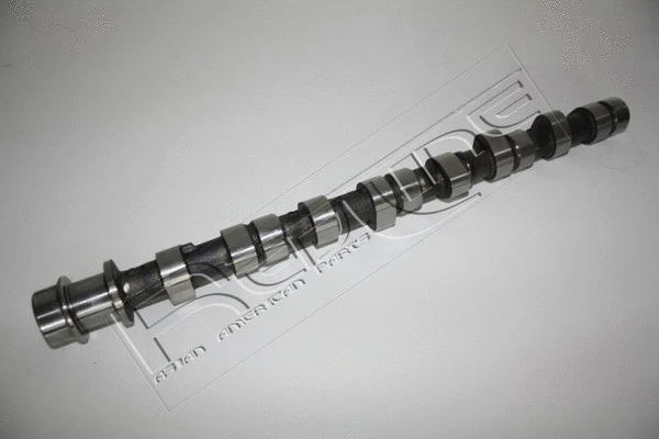 Camshaft (16MI009)
