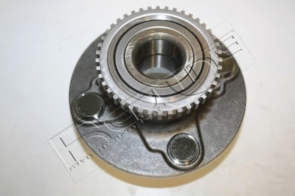 Wheel Hub (24SZ021)