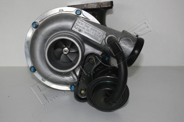 Charger, charging (supercharged/turbocharged) (31KI005)