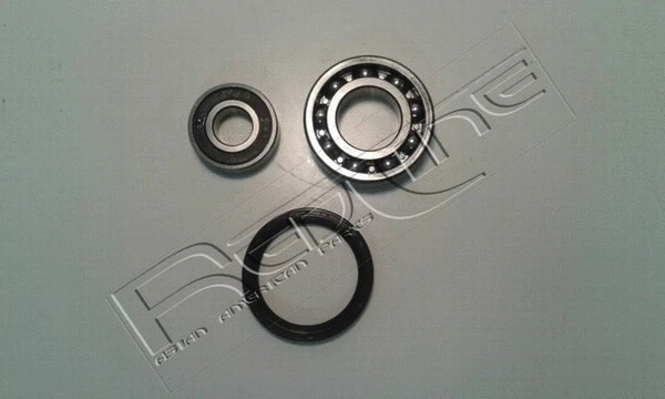 Bearing, steering knuckle (24NI051)
