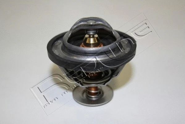 Thermostat, coolant (55SZ003)