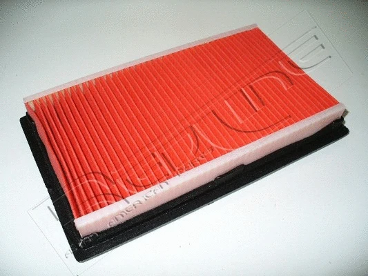 Air Filter (36NI013)