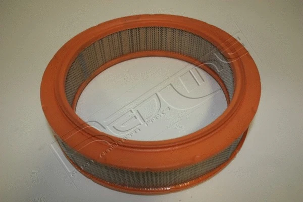Air Filter (36LA000)