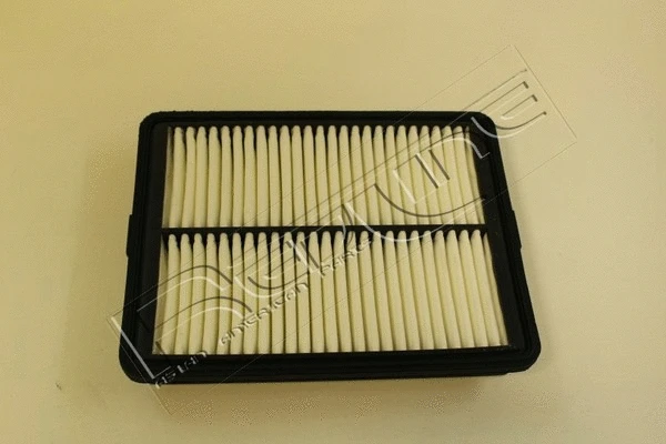 Air Filter (36SS023)