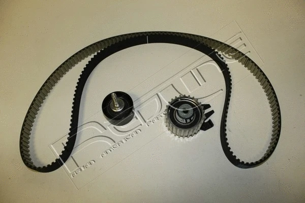 Timing Belt Kit (30CD000)