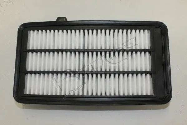 Air Filter (36HO062)