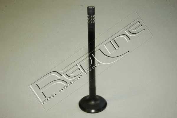 Intake Valve (15HY016)