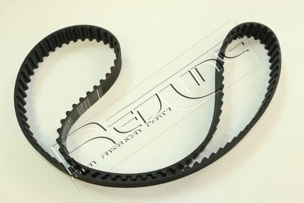 Timing Belt (29PG000)