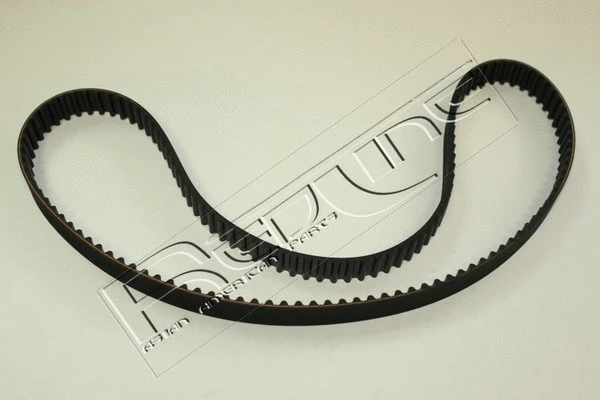 Timing Belt (29CV006)