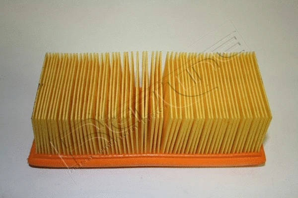 Air Filter (36NI048)