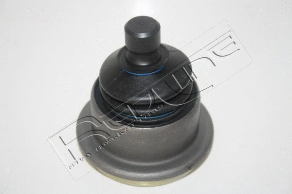 Ball Joint (40JE056)