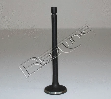 Intake Valve (15HY028)