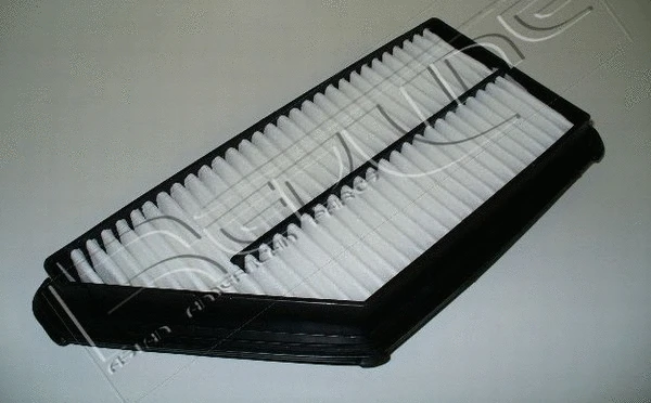 Air Filter (36HO034)