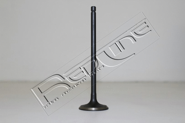 Exhaust Valve (15DW011)