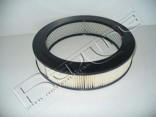 Air Filter (36DA016)