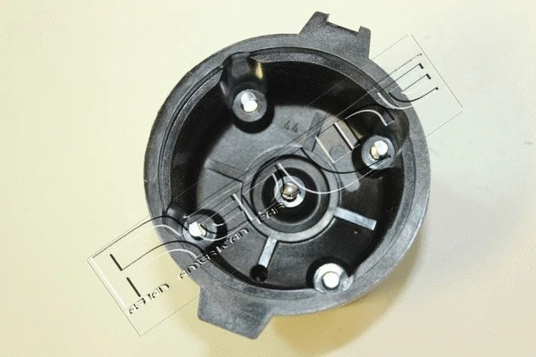 Distributor Cap