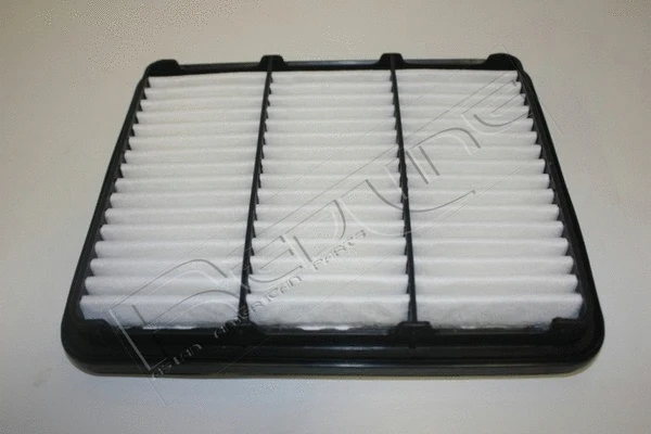 Air Filter (36DW018)