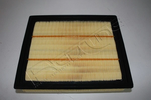 Air Filter (36IZ013)
