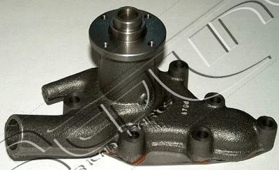 Water Pump, engine cooling (28IZ007)