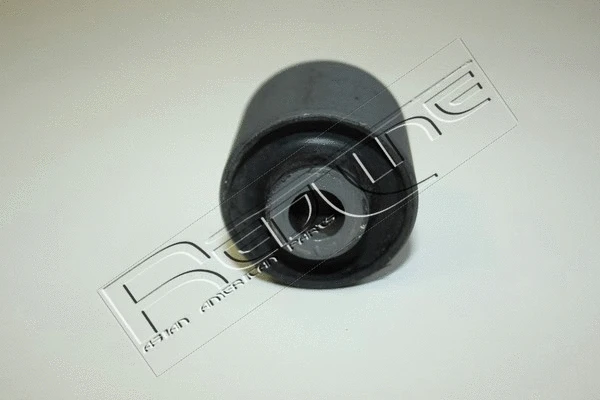 Mounting, control/trailing arm (43RV005)