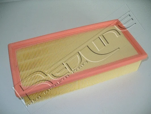 Air Filter (36TO023)