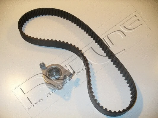 Timing Belt Kit (30DA004)