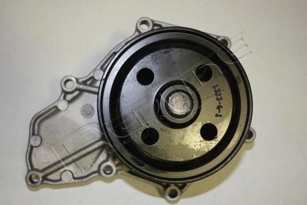 Water Pump, engine cooling (28HO014)