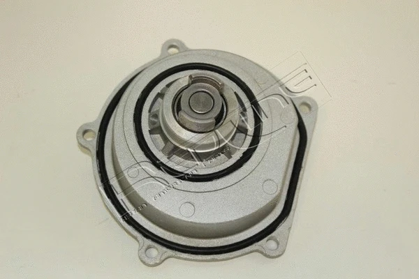 Water Pump, engine cooling (28RV006)
