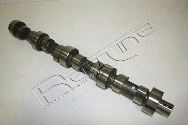 Camshaft (16NI005)