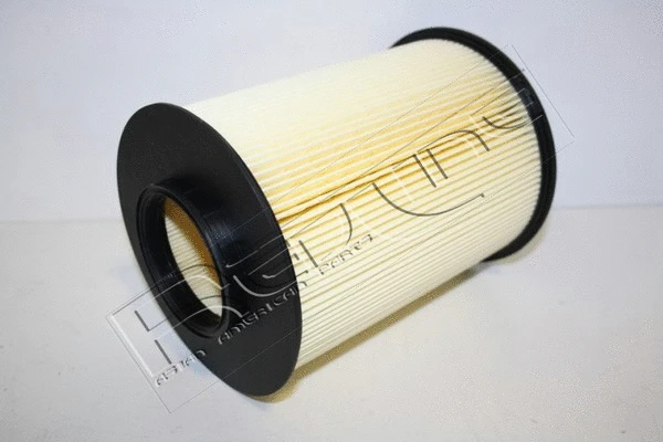 Air Filter (36MZ039)