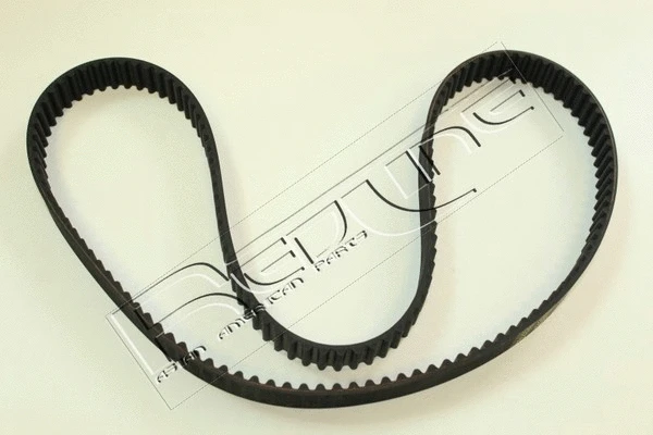 Timing Belt (29RV003)