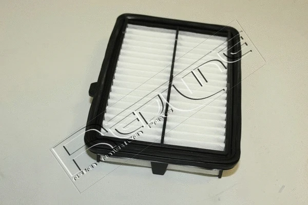 Air Filter (36HO057)