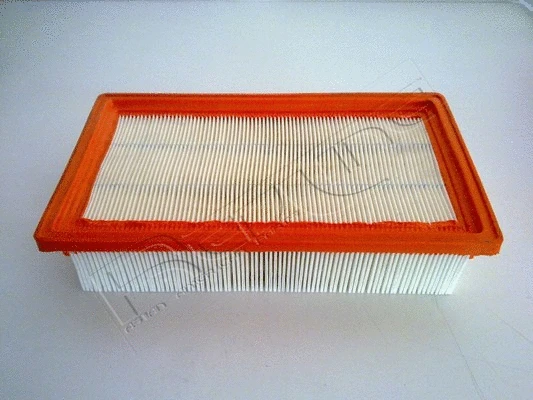 Air Filter (36TA002)