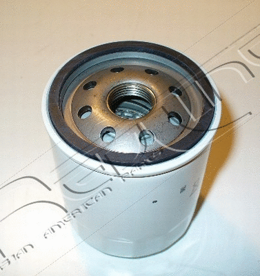 Oil Filter (38RV009)
