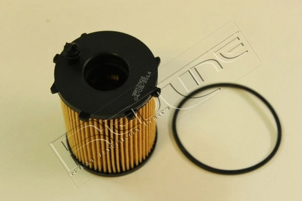Oil Filter (38MZ002)