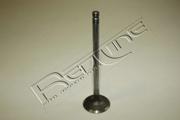 Intake Valve (15DW006)