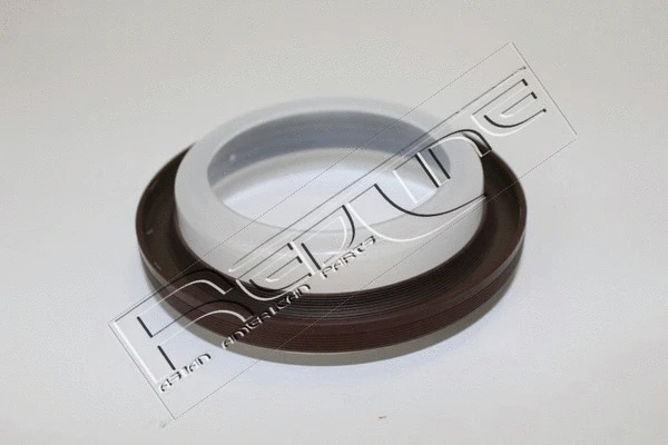 Shaft Seal, crankshaft (44SM001)