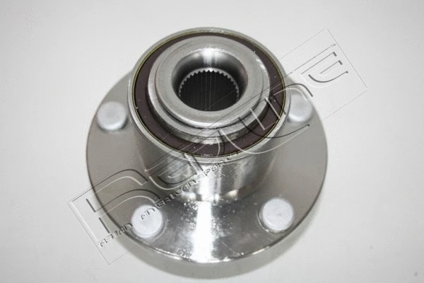 Wheel Hub (24MZ005)