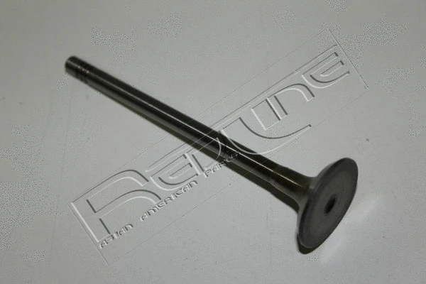 Intake Valve (15NI038)