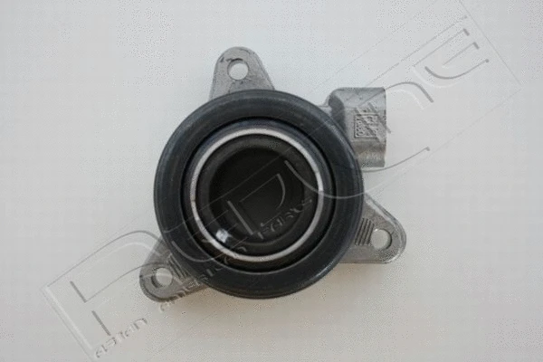 Central Slave Cylinder, clutch (25SS013)