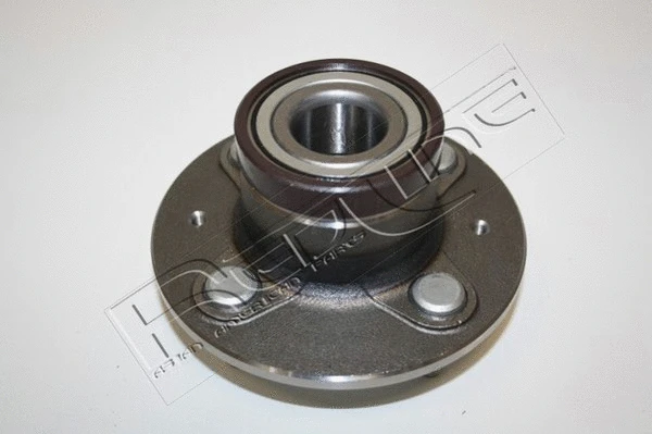 Wheel Hub (24HO021)