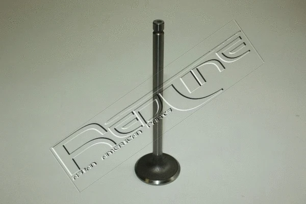 Intake Valve (15MI000)