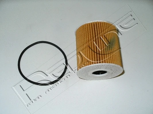 Oil Filter (38RV008)